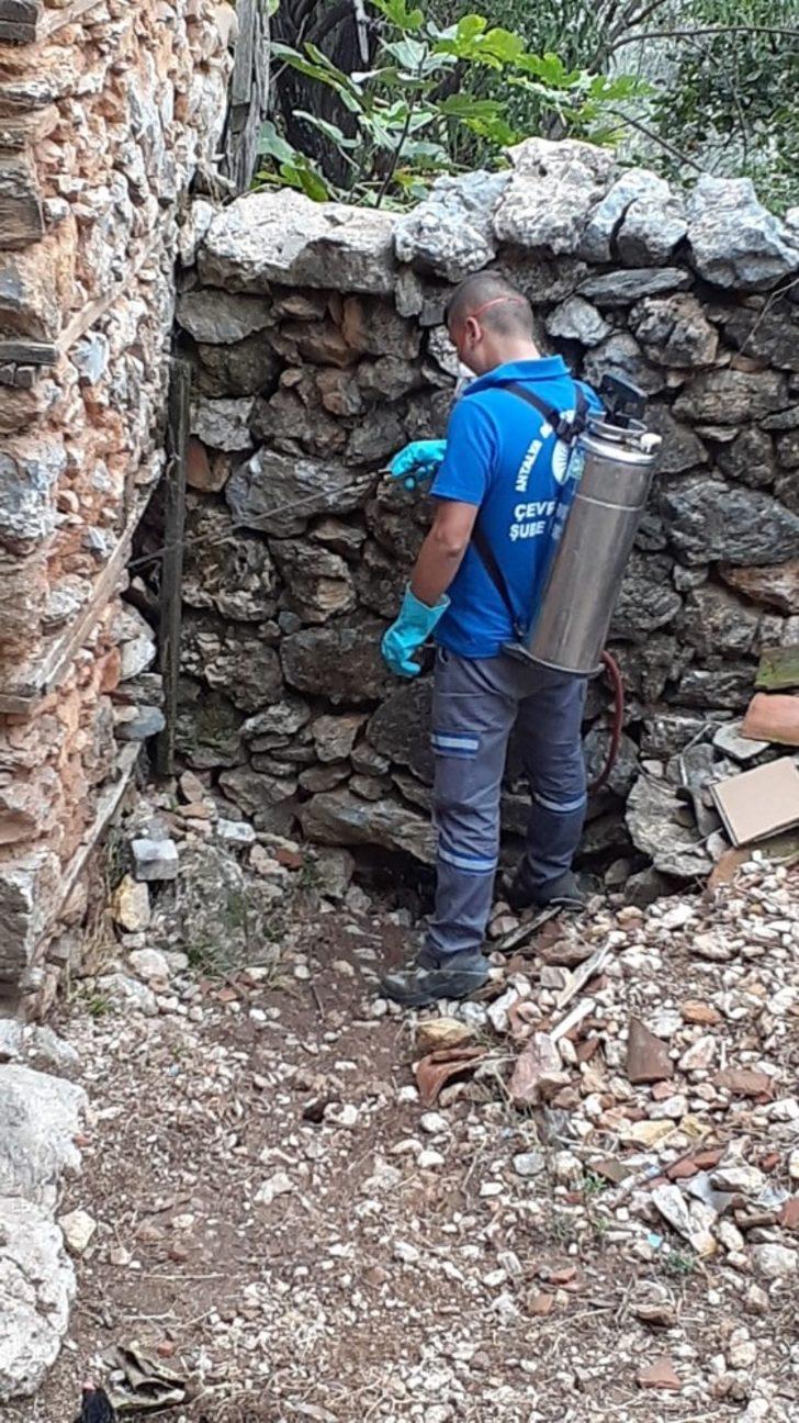 Alanya’da yağış sonrası sinekle yoğun mücadele G4