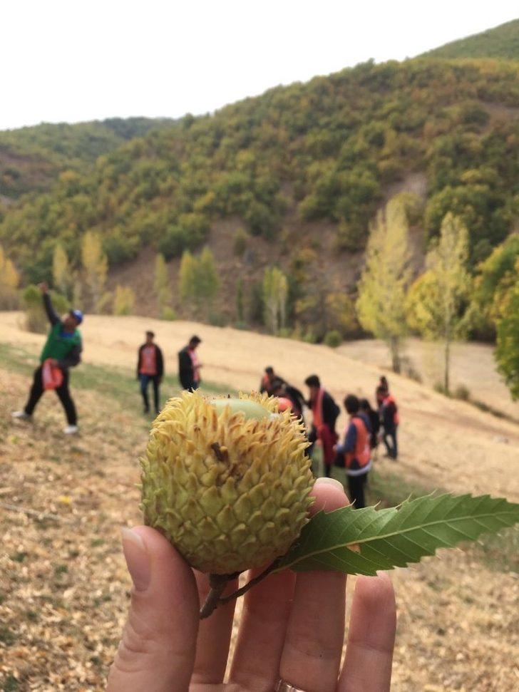 TEMA gönüllülerinden toprağa saygı yürüyüşü G4