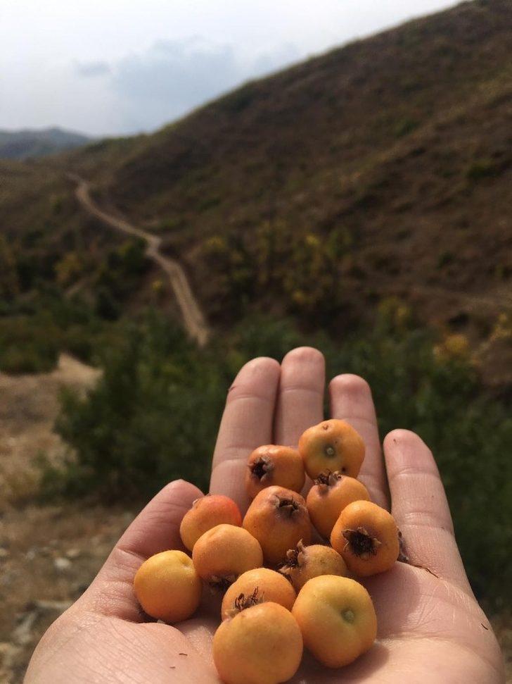 TEMA gönüllülerinden toprağa saygı yürüyüşü G5