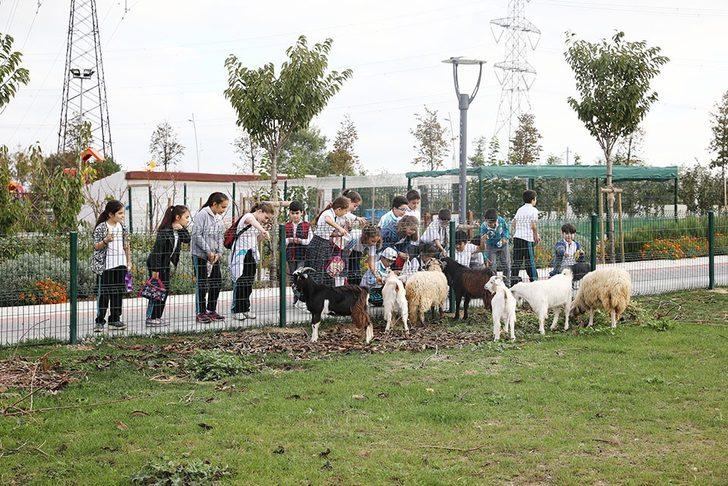Öğrenciler tohum ekip hayvan besledi G4