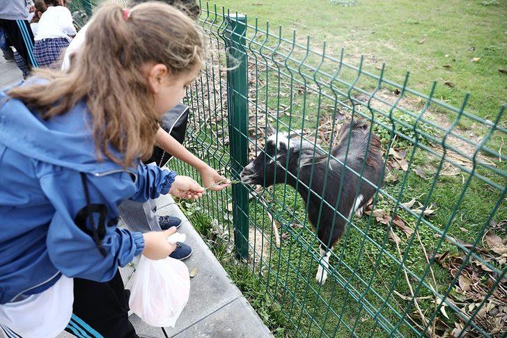 Öğrenciler tohum ekip hayvan besledi G5