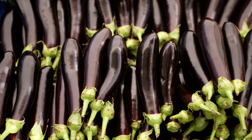 Patlıcan sapı suyu ne işe yarar, patlıcan sapı suyu nasıl hazırlanır?