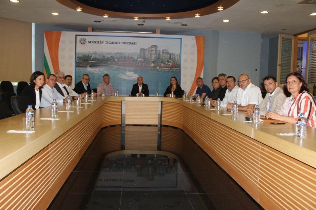 &Ccedil;ukurova&rsquo;da limona değer kazandıracak proje başlıyor