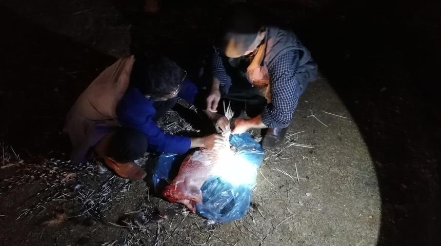 Kirpi avcılarına 8 bin lira para cezası