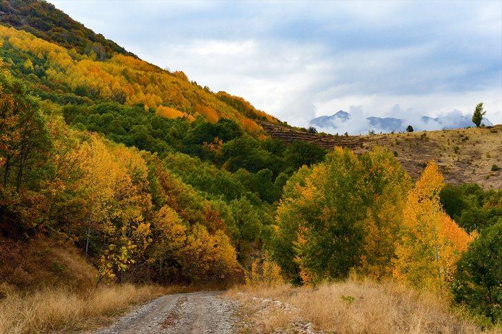 'Doğanın kalbi' Tunceli renk cümbüşü yaşatıyor G1