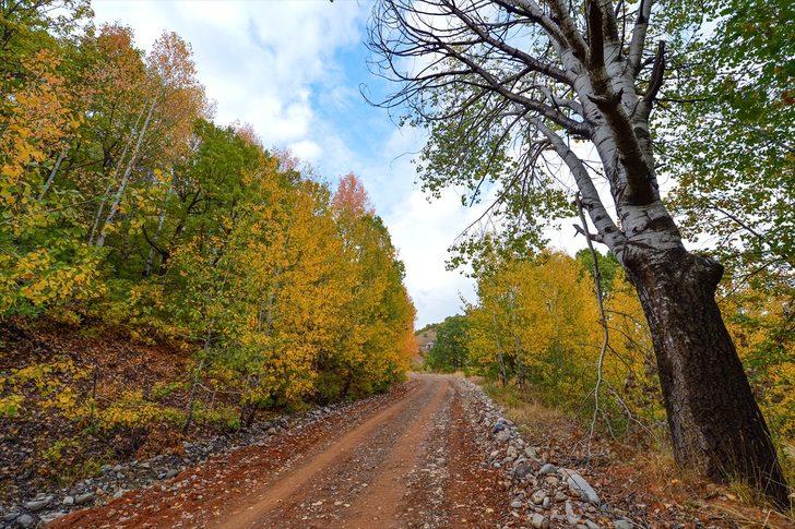 'Doğanın kalbi' Tunceli renk cümbüşü yaşatıyor G4