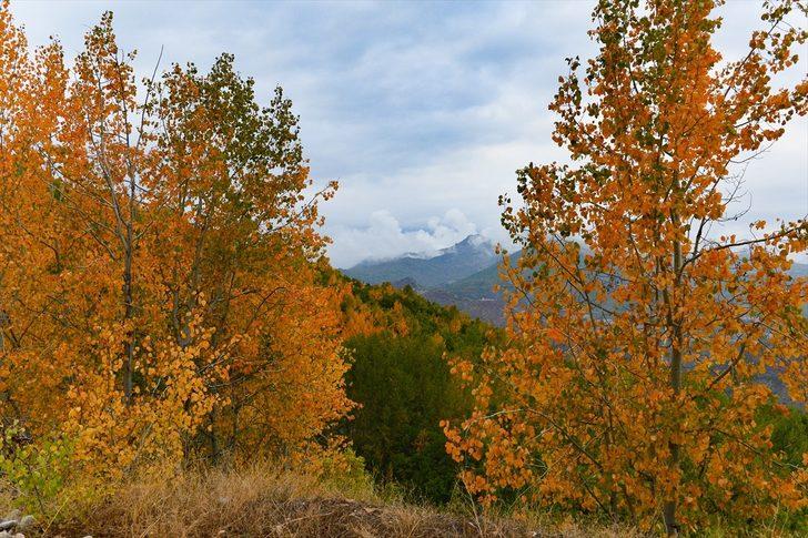 'Doğanın kalbi' Tunceli renk cümbüşü yaşatıyor G5