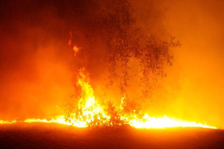 ABD'de yangın yerleşim yerlerine yaklaştı! Binlerce kişi tahliye edildi G4