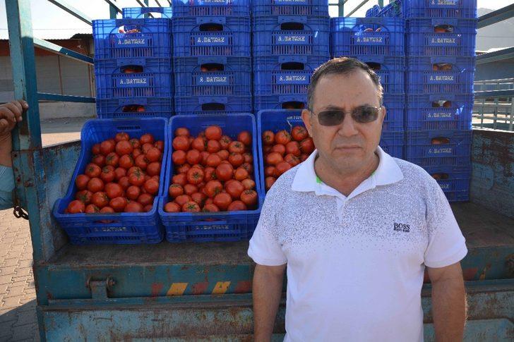 Domates üreticisi fiyattan dertli G2