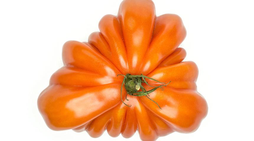 Biftek domates çeşidini merak edenler için: Biftek domates nedir?