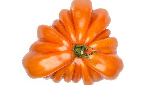 Biftek domates çeşidini merak edenler için: Biftek domates nedir?