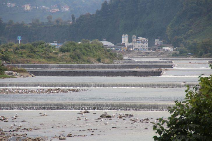 Büyük tehlike! Kırmızı benekli alabalıkların nesli tükeniyor G4