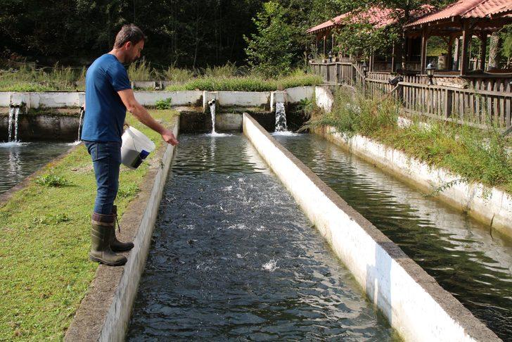 Büyük tehlike! Kırmızı benekli alabalıkların nesli tükeniyor G2
