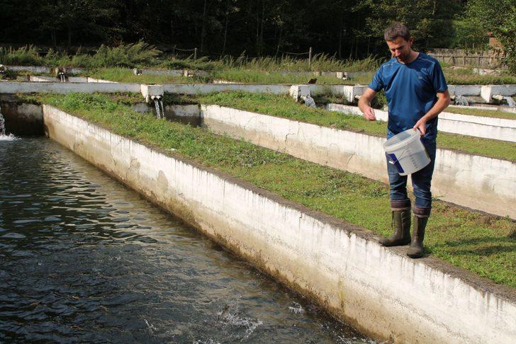 Büyük tehlike! Kırmızı benekli alabalıkların nesli tükeniyor G1