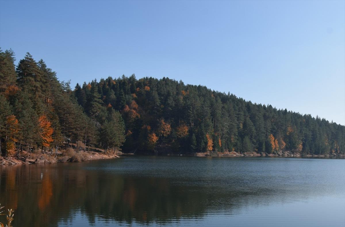 Bozcaarmut G&ouml;leti'nde renk c&uuml;mb&uuml;ş&uuml;