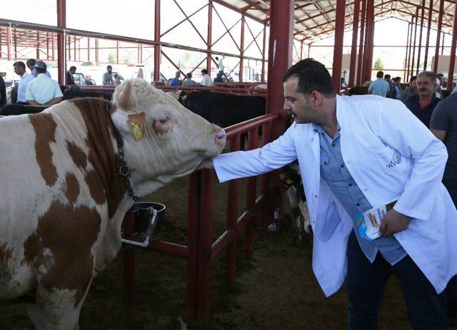 Van’da canlı hayvan pazarı için önemli kararlar alındı