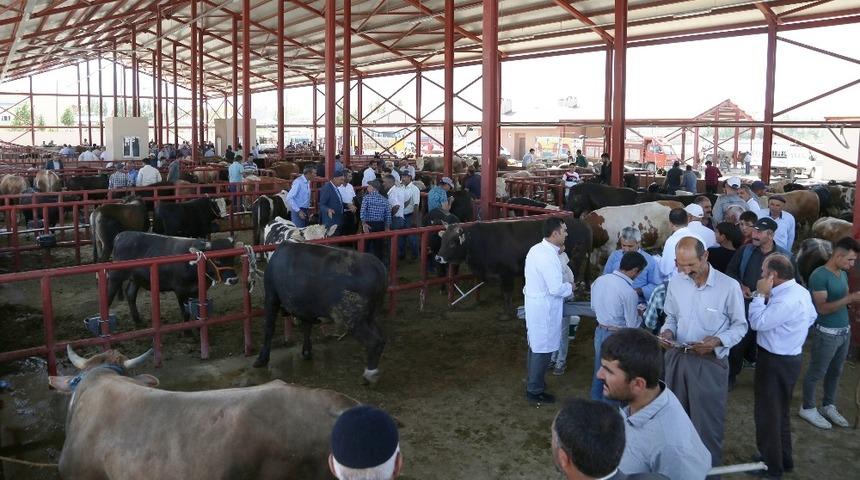 Van&rsquo;da canlı hayvan pazarı i&ccedil;in &ouml;nemli kararlar alındı