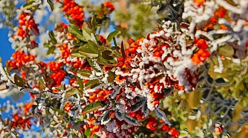 Doğu&rsquo;da 3 ilde sıcaklık sıfırın altına d&uuml;şt&uuml;