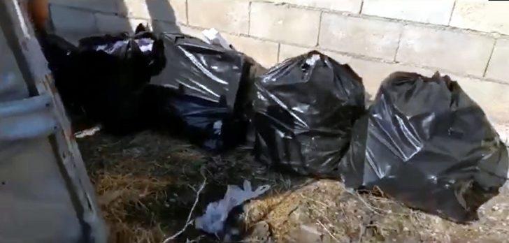 3 bin 950 paket kaçak sigara ele geçirildi G2