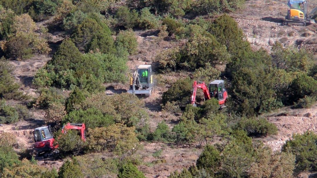 Yunus Emre ağa&ccedil;landırma sahasına 228 bin fidan dikilecek