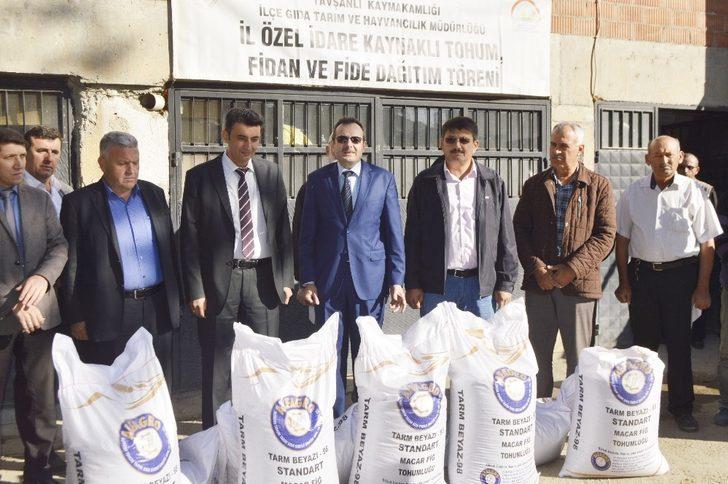 Tavşanlı’da 59 çiftçiye Macar fiği tohumu dağıtıldı G1