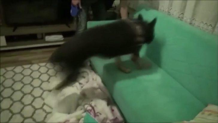 'Ölüm patroniçesi'yle bağlantılı kişilere operasyon G3