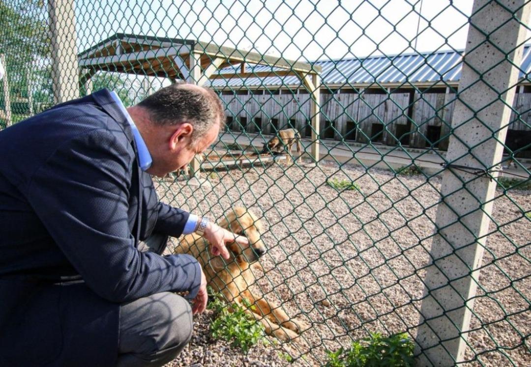 Barış Ayhan, can dostlarıyla