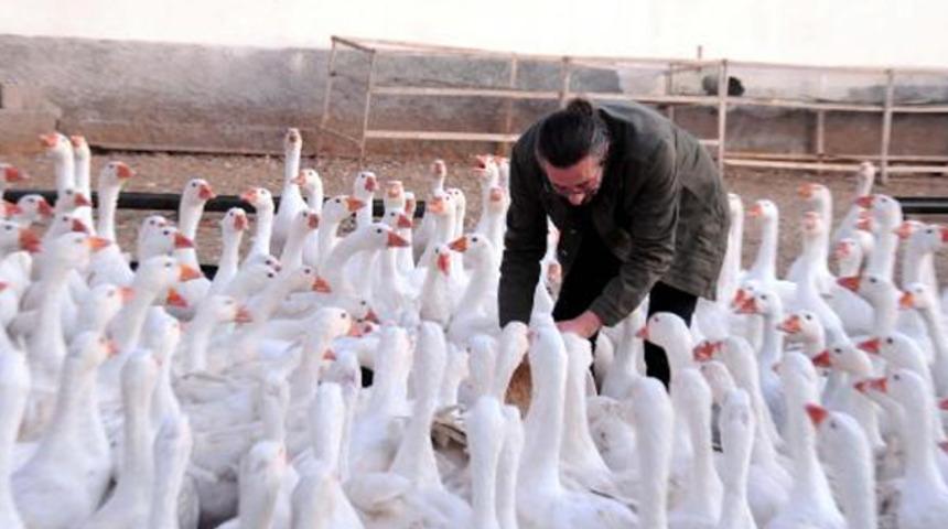 'Kazbank' olayında yeni gelişme! SPK istinaf mahkemesine başvurdu