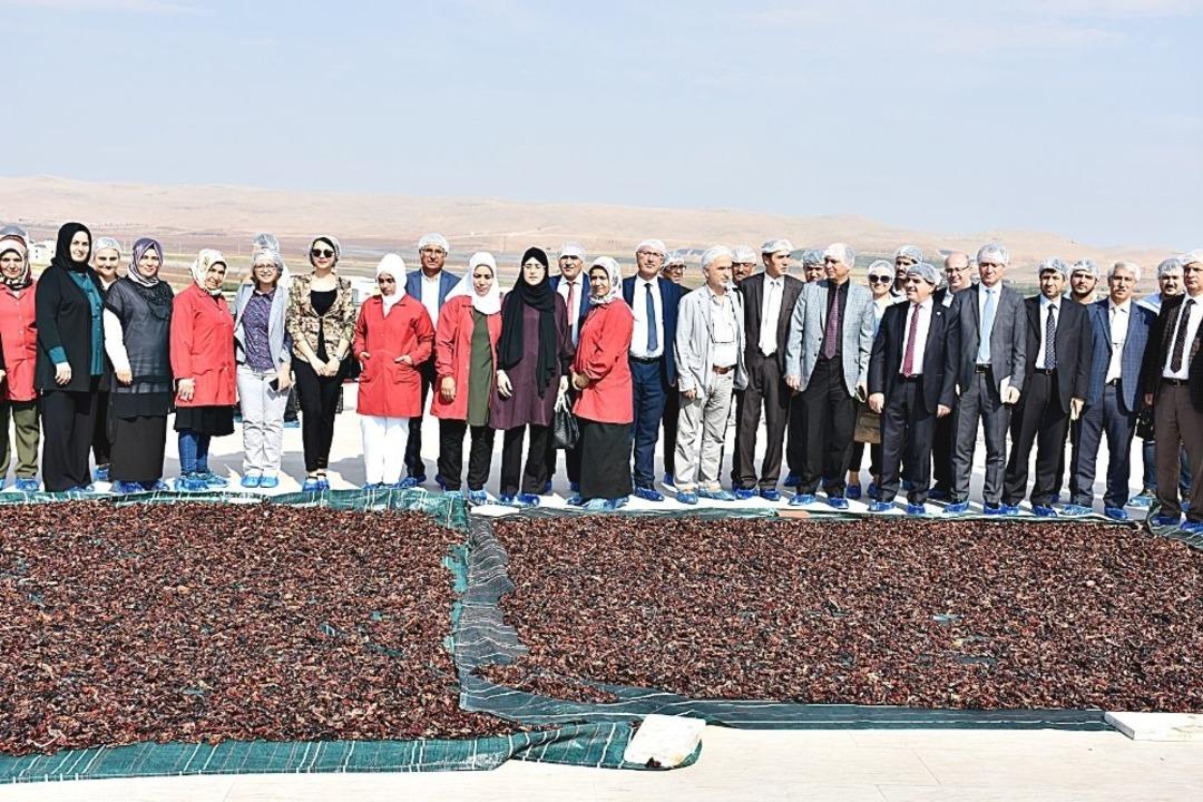 Şanlıurfa Teknokent İstihdama Y&ouml;nelik Projelerle &Ouml;ne &Ccedil;ıkıyor