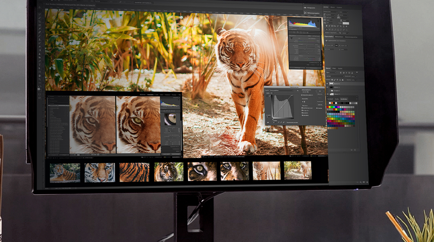 Mükemmel monitör arayanlara ipuçları