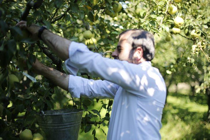 Kadına şiddete dikkat çekmek için armut topladılar! G2
