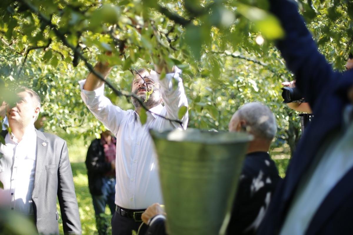 Kadına şiddete dikkat &ccedil;ekmek i&ccedil;in armut topladılar!