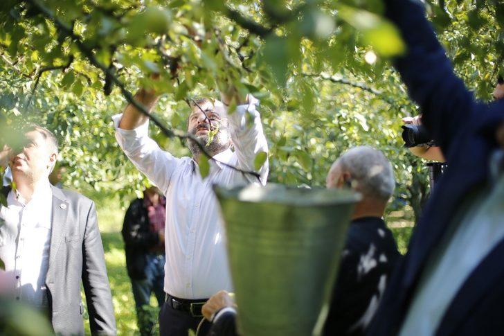 Kadına şiddete dikkat çekmek için armut topladılar! G4