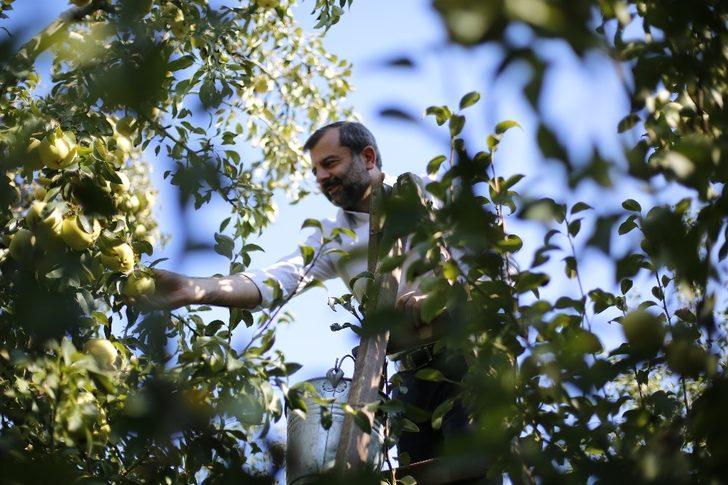 Kadına şiddete dikkat çekmek için armut topladılar! G5