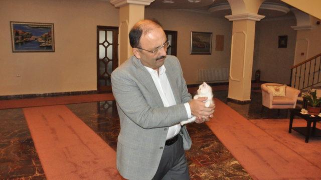 Bartın Valisi Güner, yavru kediyi sahiplendi