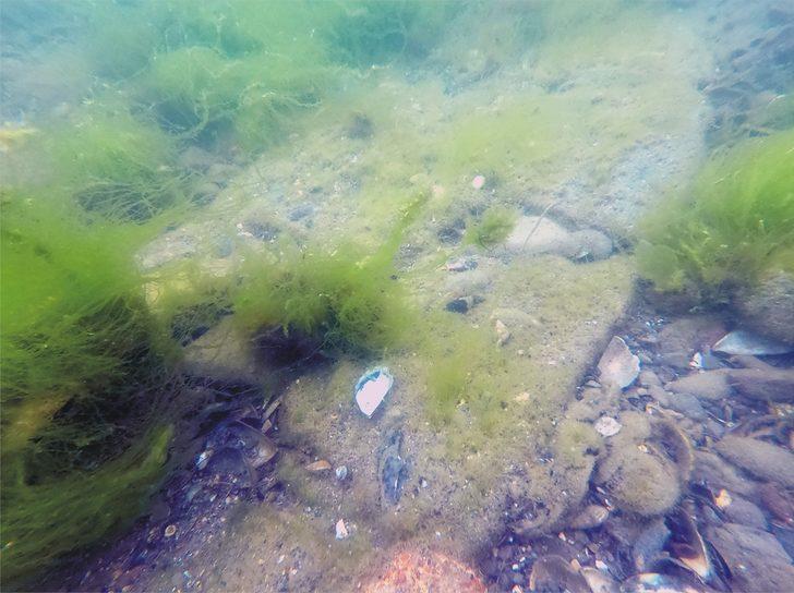 Kayıp olduğu düşünülüyordu... Marmara Denizi'nde "Kibatos Kalesi" bulundu G3
