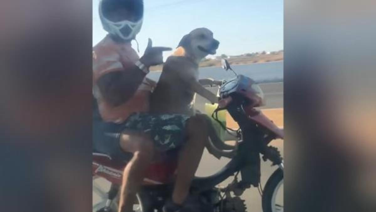 Sosyal medya motosiklet s&uuml;ren k&ouml;peği konuşuyor