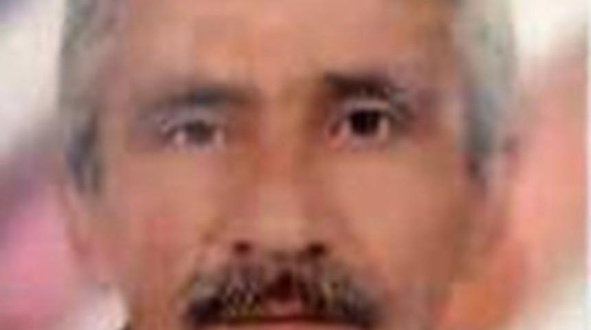 Kestiği ağa&ccedil; &uuml;zerine devrildi