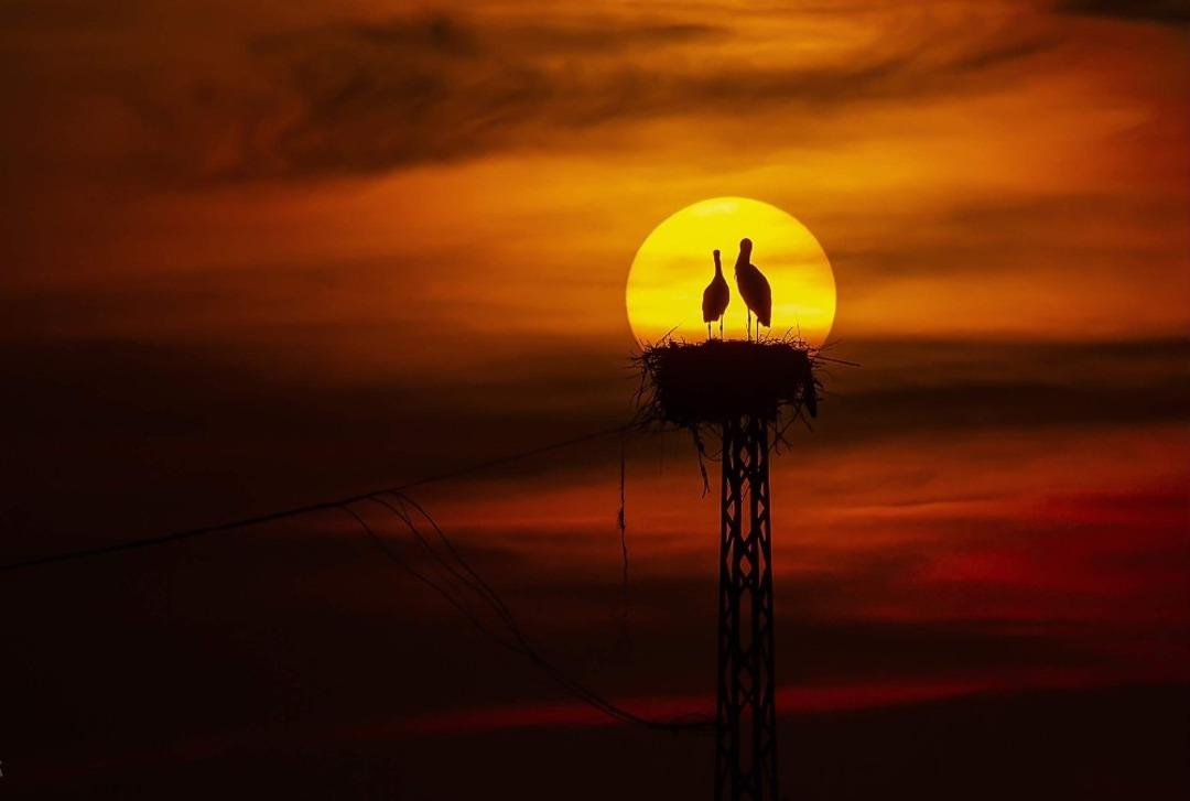 &ldquo;Trakya&rsquo;da Hayatın Enerjisi&rdquo; objektiflere yansıdı