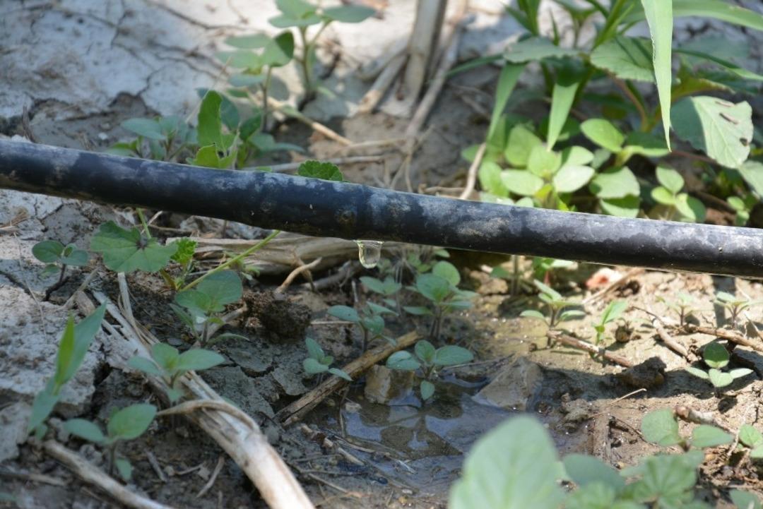 Antalya&rsquo;da 464 bin 739 dekar tarım arazisi sulandı