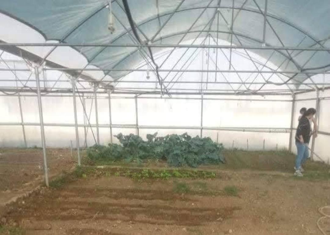 &Ccedil;avdarhisar Tarım Meslek Lisesi&rsquo;nde &rsquo;&rsquo;Fide yetiştiriciliği&rsquo;&rsquo; kursu