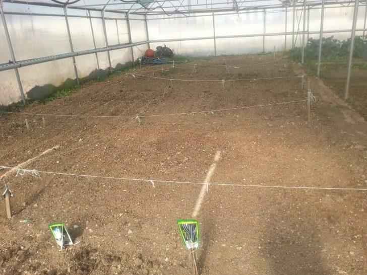 Çavdarhisar Tarım Meslek Lisesi’nde ’’Fide yetiştiriciliği’’ kursu G3