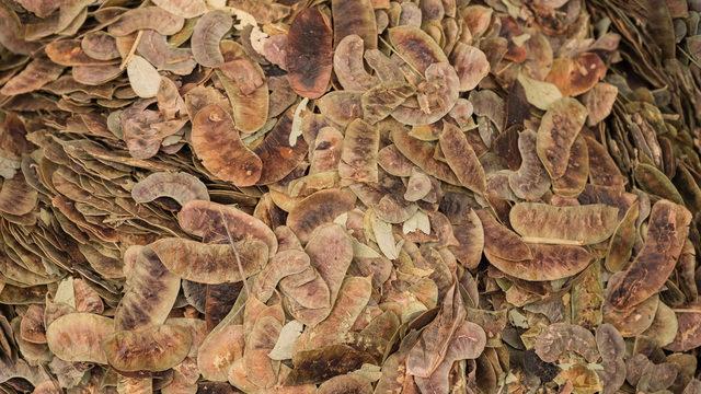 Kabızlığı geçiren şeyler nelerdir?