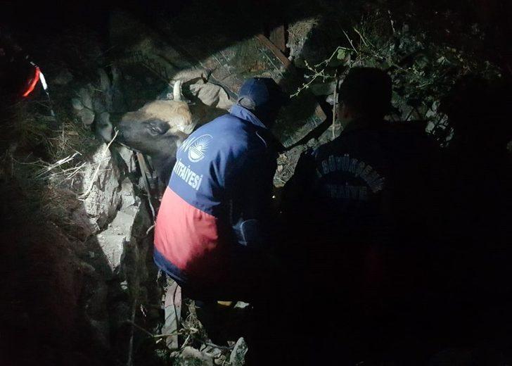 Van Büyükşehir Belediyesi itfaiyesinden yoğun mesai G2