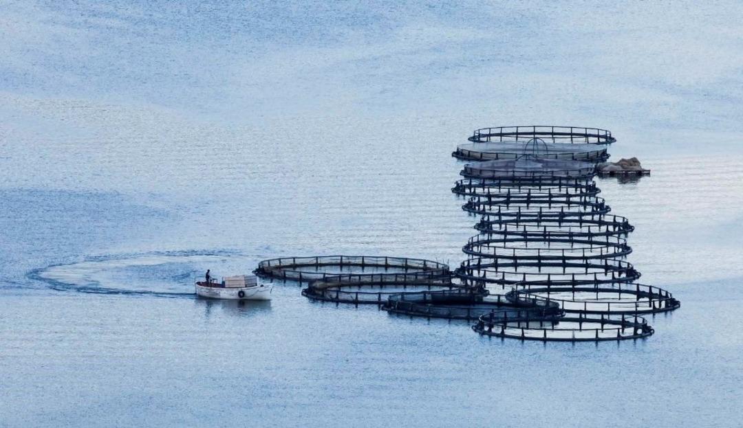 Kapıkayafest 2019 Fotomaraton &ouml;d&uuml;l t&ouml;reni