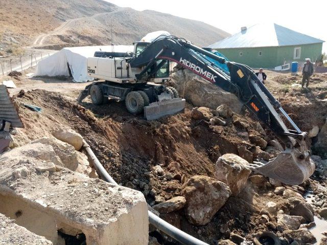 Hakkari Belediyesi tehlikeli menfezi onardı