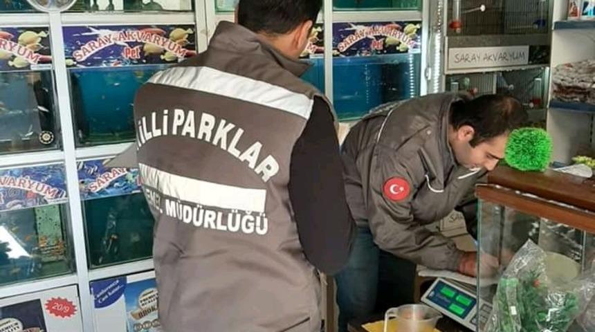 Tekirdağ’da petshoplara denetim
