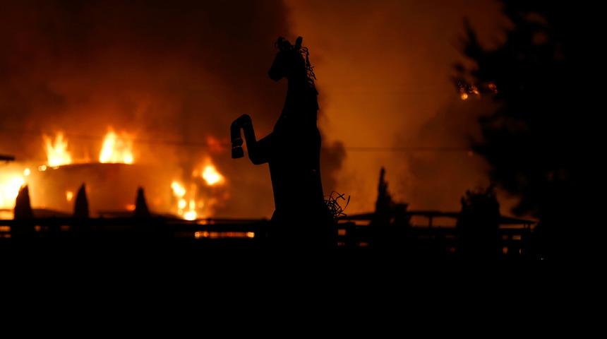 Kaliforniya'nın kuzeyindeki orman yangını