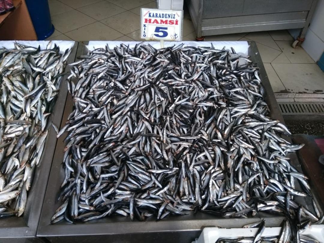 Yozgat&rsquo;ta hamsinin kilosu 5 liraya d&uuml;şt&uuml;