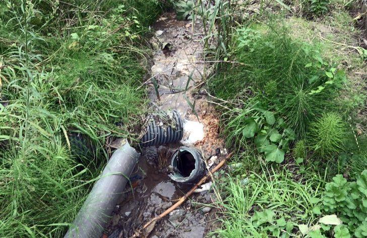 Vatandaşların tepkisi belediyeyi harekete geçirdi G1